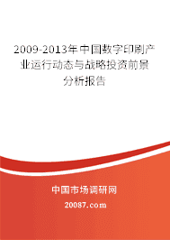 2009-2013���й�����ӡˢ��ҵ���ж�̬��ս��Ͷ��ǰ����������