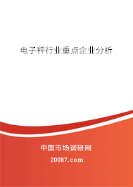 电子秤行业重点企业分析