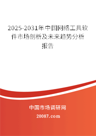 2025-2031年中国网络工具软件市场剖析及未来趋势分析报告