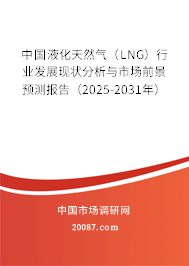 中国液化天然气（LNG）行业发展现状分析与市场前景预测报告（2025-2031年）