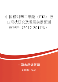 中国精对苯二甲酸（PTA）行业现状研究及发展前景预测总报告（2012-2017版）