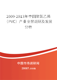 2009-2013年中国聚氯乙烯（PVC）产业全景调研及发展分析