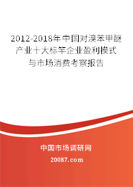 2012-2018年中国对溴苯甲醚产业十大标竿企业盈利模式与市场消费考察报告