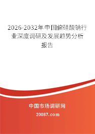 2026-2032年中国偏硅酸钠行业深度调研及发展趋势分析报告