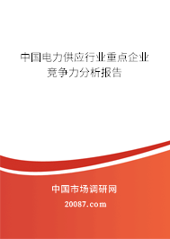中国电力供应行业重点企业竞争力分析报告 中国电力供应行业重点企业竞争力分析报告