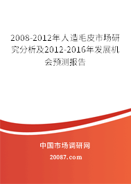 2008-2012年人造毛皮市场研究分析及2012-2016年发展机会预测报告