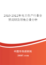 2010-2012年电力生产行业全景调研及领先企业分析