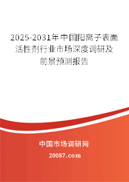 2025-2031年中国阳离子表面活性剂行业市场深度调研及前景预测报告