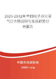 2025-2031年中国电子点火沼气灯市场调研与发展趋势分析报告