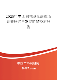 2025年中国对枯基苯酚市场调查研究与发展前景预测报告 2025年中国对枯基苯酚市场调查研究与发展前景预测报告