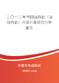 二〇一二年中国油页岩（油母页岩）开发行业研究分析报告