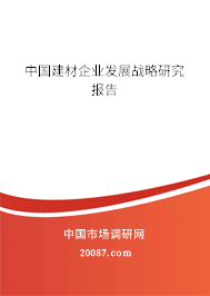中国建材企业发展战略研究报告
