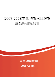 2007-2008中国洗发水品牌发展战略研究报告