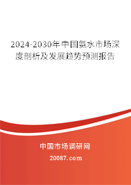 2024-2030年中国氨水市场深度剖析及发展趋势预测报告
