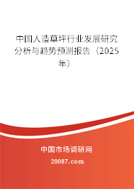 中国人造草坪行业发展研究分析与趋势预测报告（2025年）