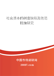 社会资本的制度缺陷及防范措施研究