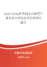 2025-2031年中国五孔梅花产业发展分析及投资前景预测报告