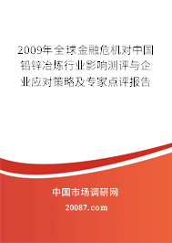 2009年全球金融危机对中国铅锌冶炼行业影响测评与企业应对策略及专家点评报告