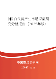 中国白铁剪产业市场深度研究分析报告（2025年版）