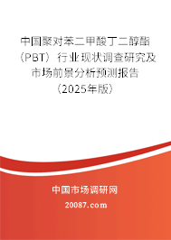 中国聚对苯二甲酸丁二醇酯（PBT）行业现状调查研究及市场前景分析预测报告（2025年版）