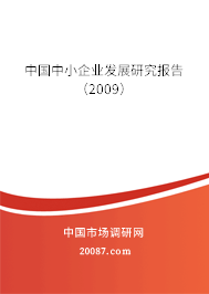 中国中小企业发展研究报告（2009）