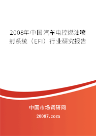 2008年中国汽车电控燃油喷射系统（EFI）行业研究报告