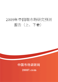2009年中国鞋市场研究预测报告（上、下卷）