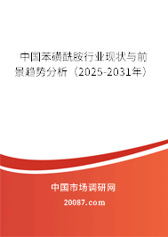 中国苯磺酰胺行业现状与前景趋势分析(2025-2031年) 中国苯磺酰胺行业现状与前景趋势分析(2025-2031年)