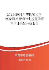 2025-2031年中国笔记本PCIe固态硬盘行业发展调研与行业前景分析报告