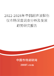 2022-2028年中国超声波探伤仪市场深度调查分析及发展趋势研究报告
