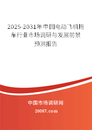 2025-2031年中国电动飞机拖车行业市场调研与发展前景预测报告