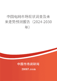 йг״鼰δԤⱨ棨2024-2030꣩