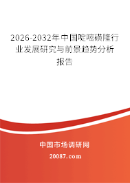 2026-2032年中国啶嘧磺隆行业发展研究与前景趋势分析报告 2026-2032年中国啶嘧磺隆行业发展研究与前景趋势分析报告