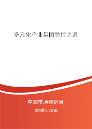 多元化产业集团管控之道