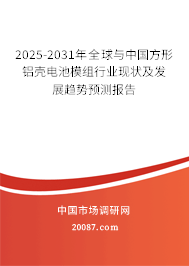 2025-2031年全球与中国方形铝壳电池模组行业现状及发展趋势预测报告
