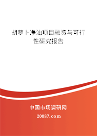 胡萝卜净油项目融资与可行性研究报告