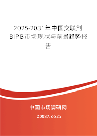 2025-2031年中国交联剂BIPB市场现状与前景趋势报告 2025-2031年中国交联剂BIPB市场现状与前景趋势报告