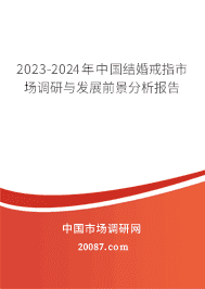 2023-2029йָг뷢չǰ