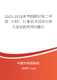 2025-2031年中国精对苯二甲酸（PTA）行业现状调研分析与发展趋势预测报告