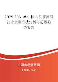 2025-2031年中国冷铁模具钢行业发展现状分析与前景趋势报告