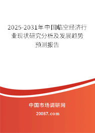 2025-2031年中国临空经济行业现状研究分析及发展趋势预测报告