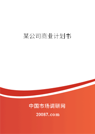 某公司商业计划书