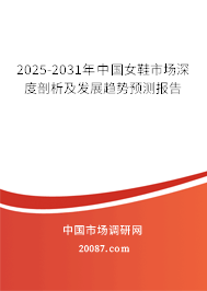 2025-2031年中国女鞋市场深度剖析及发展趋势预测报告 2025-2031年中国女鞋市场深度剖析及发展趋势预测报告