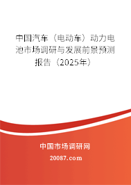 中国汽车（电动车）动力电池市场调研与发展前景预测报告（2025年）
