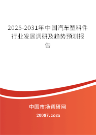 2025-2031年中国汽车塑料件行业发展调研及趋势预测报告