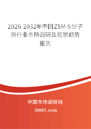 2026-2032年中国ZSM-5分子筛行业市场调研及前景趋势报告