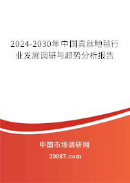 2024-2030年中国真丝地毯行业发展调研与趋势分析报告