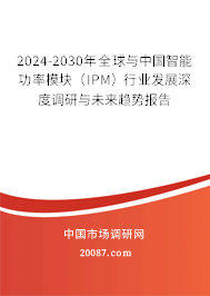 2024-2030年全球与中国智能功率模块（IPM）行业发展深度调研与未来趋势报告