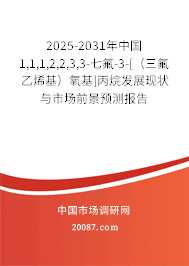 2025-2031年中国1,1,1,2,2,3,3-七氟-3-[（三氟乙烯基）氧基]丙烷发展现状与市场前景预测报告