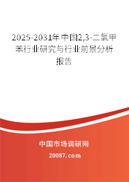 2025-2031年中国2,3-二氯甲苯行业研究与行业前景分析报告